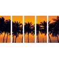 5-PIECE CANVAS PRINT SUNSET OVER PALM TREES - PICTURES OF NATURE AND LANDSCAPE - PICTURES