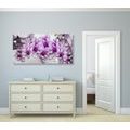 CANVAS PRINT PURPLE FLOWERS ON AN ABSTRACT BACKGROUND - PICTURES FLOWERS{% if product.category.pathNames[0] != product.category.name %} - PICTURES{% endif %}