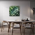 WANDBILD PERFEKTE SPIRALE DER SUKKULENTE - BOTANISCHE BILDER - BILDER