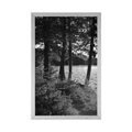 POSTER VIEW OF THE LAKE IN BLACK AND WHITE - BLACK AND WHITE - POSTERS