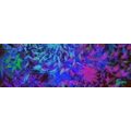 CANVAS PRINT MODERN ABSTRACTION IN AN INTERESTING DESIGN - ABSTRACT PICTURES - PICTURES