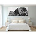 5-PIECE CANVAS PRINT BLACK AND WHITE MONSTERA LEAF - BLACK AND WHITE PICTURES - PICTURES