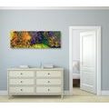 CANVAS PRINT COLORED ABSTRACT ART - ABSTRACT PICTURES - PICTURES