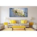 CANVAS PRINT BLOSSOMING CHERRY BRANCH - PICTURES FLOWERS - PICTURES