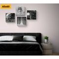 CANVAS PRINT SET MYSTERIOUS WOLF IN BLACK AND WHITE - SET OF PICTURES - PICTURES