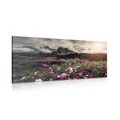 CANVAS PRINT MEADOW OF BLOOMING FLOWERS - PICTURES OF NATURE AND LANDSCAPE - PICTURES