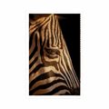 POSTER ZEBRA PORTRAIT - ANIMALS - POSTERS