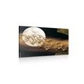 CANVAS PRINT BIRD FLIGHT ON A FULL MOON - ABSTRACT PICTURES - PICTURES