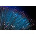 CANVAS PRINT FIBER OPTICS - STILL LIFE PICTURES - PICTURES