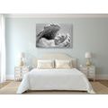 CANVAS PRINT SMALL ANGEL IN BLACK AND WHITE - BLACK AND WHITE PICTURES - PICTURES