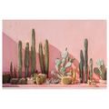 OBRAZ KAKTUSY NA RŮŽOVÉ ZDI - BOTANICKÉ OBRAZY - OBRAZY