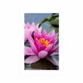 POSTER WITH MOUNT PINK LOTUS FLOWER - FLOWERS - POSTERS