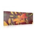 CANVAS PRINT ORANGE LILY BLOSSOM - PICTURES FLOWERS - PICTURES