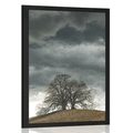 POSTER LONELY TREES - NATURE - POSTERS