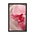 POSTER SEA SAND AND A PINK ORCHID - FENG SHUI - POSTERS