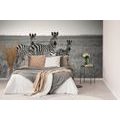 SELF ADHESIVE WALL MURAL THREE BLACK AND WHITE ZEBRAS IN THE SAVANNAH - SELF-ADHESIVE WALLPAPERS - WALLPAPERS