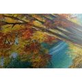 CANVAS PRINT PAINTED TREES IN AUTUMN COLORS - PICTURES OF NATURE AND LANDSCAPE - PICTURES