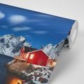 SELF ADHESIVE WALL MURAL NIGHT LANDSCAPE IN NORWAY - SELF-ADHESIVE WALLPAPERS - WALLPAPERS