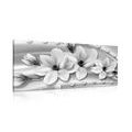 CANVAS PRINT LUXURIOUS MAGNOLIA WITH PEARLS IN BLACK AND WHITE - BLACK AND WHITE PICTURES - PICTURES