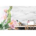 WALL MURAL GENTLE ZEN COMPOSITION - WALLPAPERS FENG SHUI - WALLPAPERS