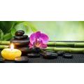 CANVAS PRINT FENG SHUI STILL LIFE - PICTURES FENG SHUI - PICTURES