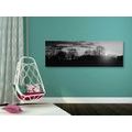 CANVAS PRINT BEAUTIFUL SUNSET IN BLACK AND WHITE - BLACK AND WHITE PICTURES - PICTURES