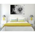 CANVAS PRINT DANDELION SEEDS IN BLACK AND WHITE - BLACK AND WHITE PICTURES{% if product.category.pathNames[0] != product.category.name %} - PICTURES{% endif %}