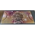 5-PIECE CANVAS PRINT CHARMING MANDALA - PICTURES FENG SHUI - PICTURES