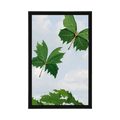 POSTER LEAVES IN THE WIND - NATURE - POSTERS