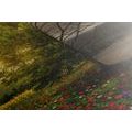 WANDBILD BAUM IN ZWEI FORMEN - BILDER VON NATUR UND LANDSCHAFT - BILDER