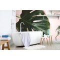 WALL MURAL MONSTERA LEAF - WALLPAPERS NATURE - WALLPAPERS