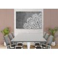 CANVAS PRINT ELEMENTS OF A FLORAL MANDALA IN BLACK AND WHITE - BLACK AND WHITE PICTURES - PICTURES