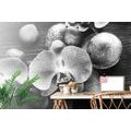 WALL MURAL BLACK AND WHITE ORCHID AND STONES - BLACK AND WHITE WALLPAPERS - WALLPAPERS