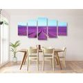 5-PIECE CANVAS PRINT ENDLESS LAVENDER FIELD - PICTURES OF NATURE AND LANDSCAPE - PICTURES