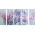 5-PIECE CANVAS PRINT COLOR ABSTRACTION - ABSTRACT PICTURES - PICTURES