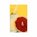 POSTER FRUIT LEMONADE - WITH A KITCHEN MOTIF - POSTERS