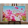 CANVAS PRINT MEADOW OF SPRING FLOWERS - PICTURES FLOWERS - PICTURES