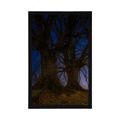 AFFICHE ARBRES DANS UN PAYSAGE NOCTURNE - NATURE - AFFICHES