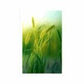 AFFICHE BRINS D'HERBE - NATURE - AFFICHES