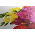 CANVAS PRINT BOUQUET OF COLORFUL FREESIAS - PICTURES FLOWERS - PICTURES