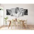 5-PIECE CANVAS PRINT DANDELION IN BLACK AND WHITE - BLACK AND WHITE PICTURES - PICTURES