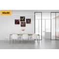 CANVAS PRINT SET DELICIOUS SNACKS - SET OF PICTURES - PICTURES