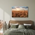 TABLEAU SUR TOILE – BLÉ DORÉ AU COUCHER DU SOLEIL - TABLEAUX DE CHAMPS ET PRAIRIES - TABLEAUX
