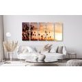 5-PIECE CANVAS PRINT GRASS BLADES AT SUNRISE - PICTURES OF NATURE AND LANDSCAPE - PICTURES