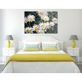 CANVAS PRINT DAISIES IN A GARDEN - PICTURES FLOWERS - PICTURES