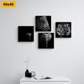 CANVAS PRINT SET ANIMALS IN BLACK AND WHITE STYLE - SET OF PICTURES - PICTURES