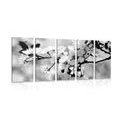 IMPRESSION SUR TOILE EN 5 PARTIES FLEUR DE CERISIER EN NOIR ET BLANC - IMPRESSIONS SUR TOILE NOIR ET BLANC - IMPRESSION SUR TOILE