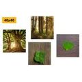 CANVAS PRINT SET BREEZE OF NATURE - SET OF PICTURES - PICTURES