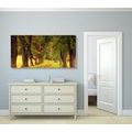 CANVAS PRINT TRAIL THROUGH THE AUTUMN FOREST - PICTURES OF NATURE AND LANDSCAPE - PICTURES