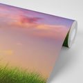 PAPIER PEINT LEVER DE SOLEIL SUR LA PRAIRIE - PAPIER PEINT NATURE - PAPIER PEINT